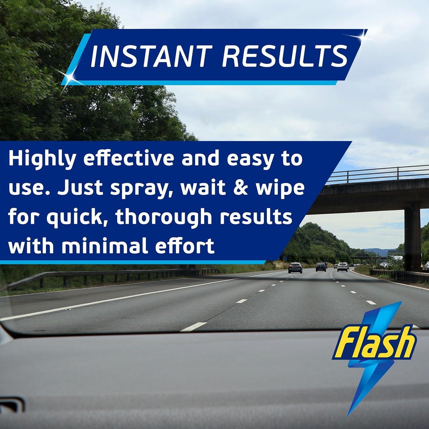 FLASH Insect Bug Remover Spray Powerful Car Cleaner for Tar & Bugs 500ml